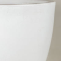 The Oasis Bowl - White