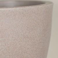The Oasis Bowl - Stone