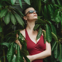 Schefflera Actinophylla – Umbrella Tree