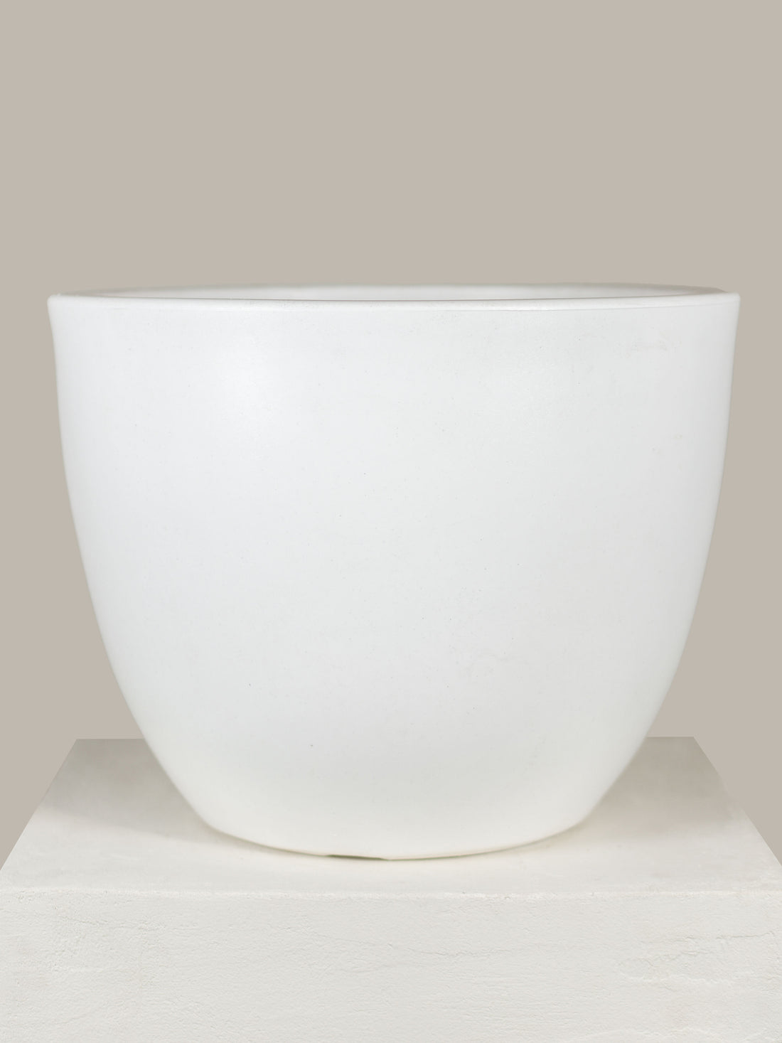 The Oasis Bowl - White