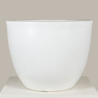 The Oasis Bowl - White
